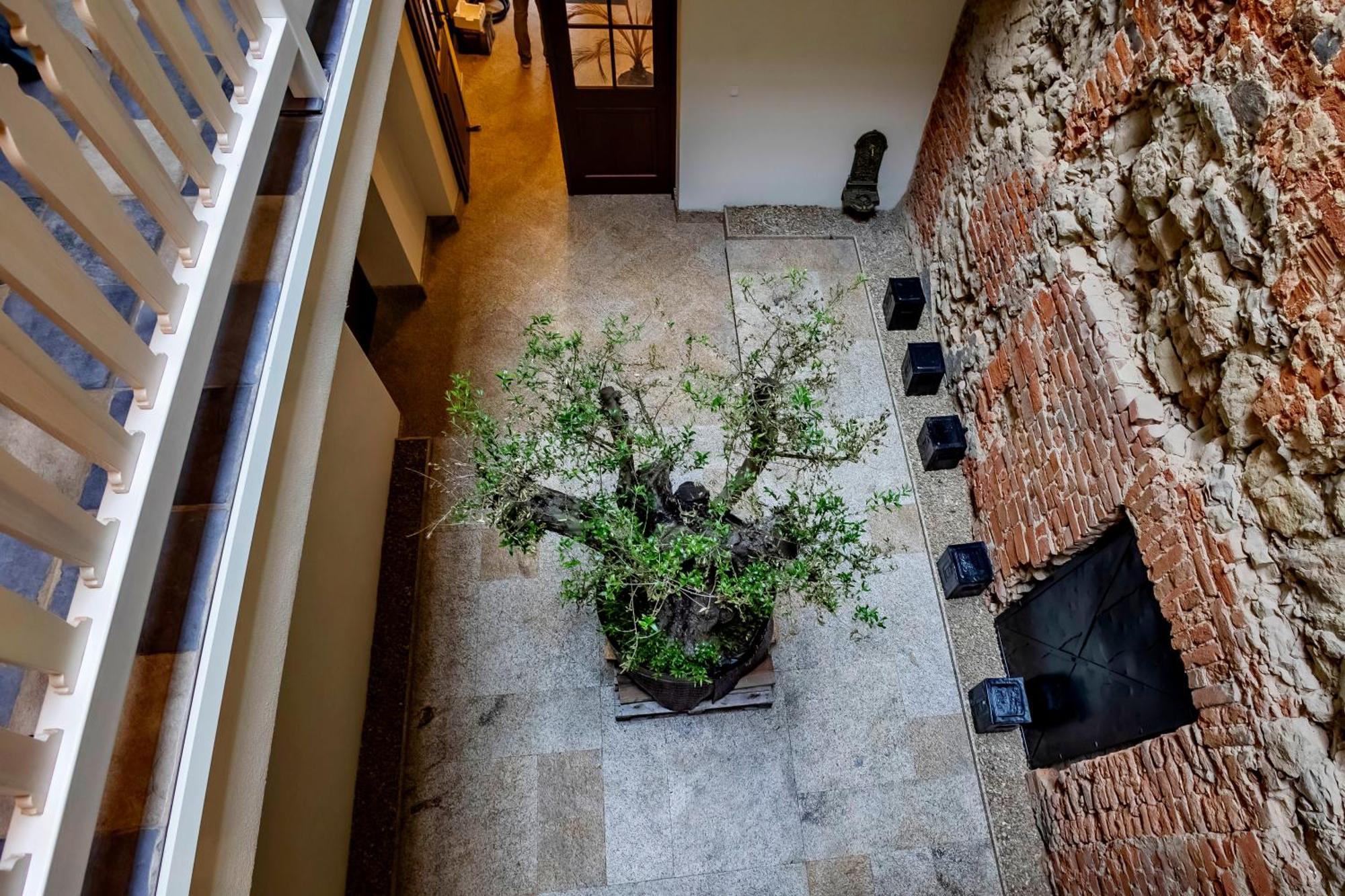 Lubartowska 19 Apartamenty Люблин Екстериор снимка